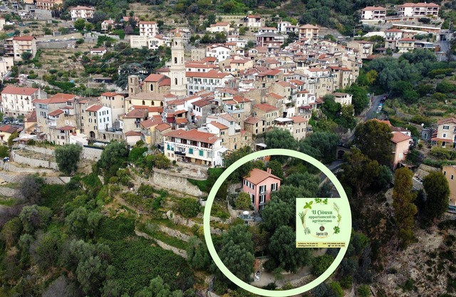 Rosemary by LigurianLife Agriturismo U Ciousu