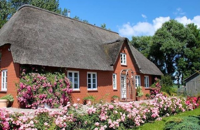 Rosenkate, Deutschland