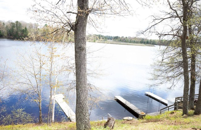 Rowyn's Resort - Cozy Lake Nokomis Cabin