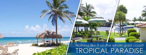 Royal Flamingo Villas