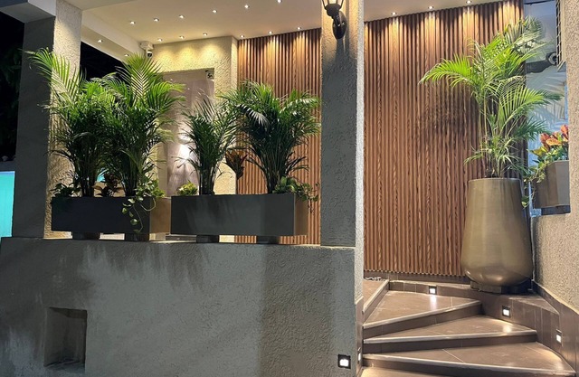 ROYAL SUITES AMOLADOS