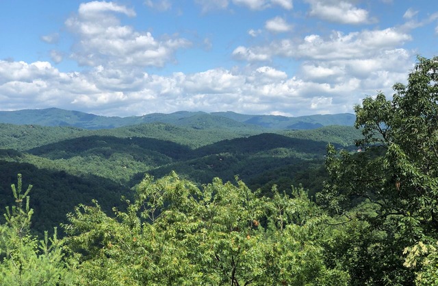 Ruffinit at Buck Mountain-Breathtaking Views, Large Deck w/SIP, Wifi!