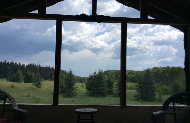 Rugged Cabin near RMNP with screened-in deck, forest and meadow views