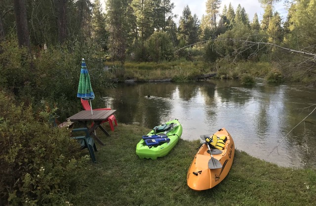 Laufender Bär · Laufender Bär auf Fort Creek-CraterLake Bungalows