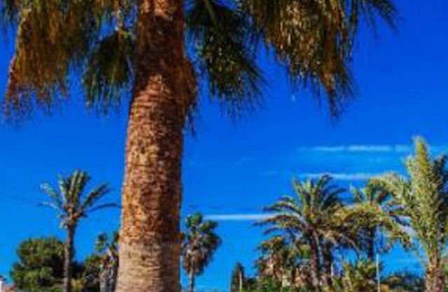 Ferienhaus in La Manga ideal für Familien, Haustiere