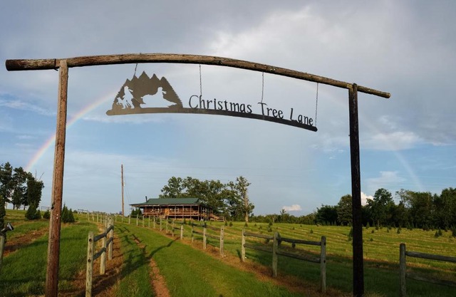 Rural life on a real Christmas tree farm! Hallmark experience!