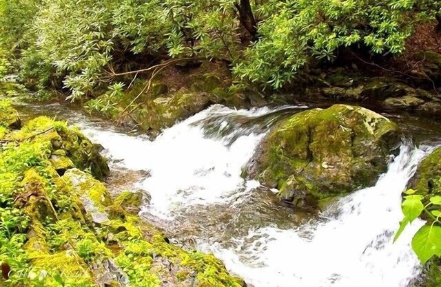 Rushing Waters Cabin - Ein romantischer Rückzugsort am Creek mit Wasserfällen!