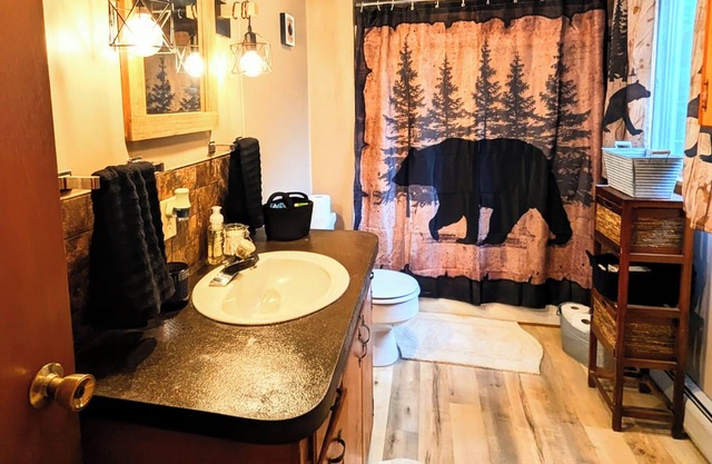 Rustic 3 Bedroom cottage in the Western Maine Mountains