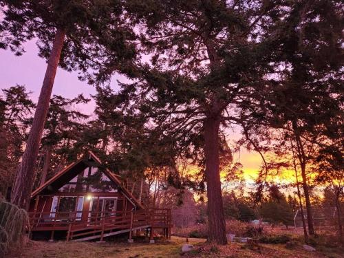 Rustic A-Frame hot tub retreat near Deception Pass
