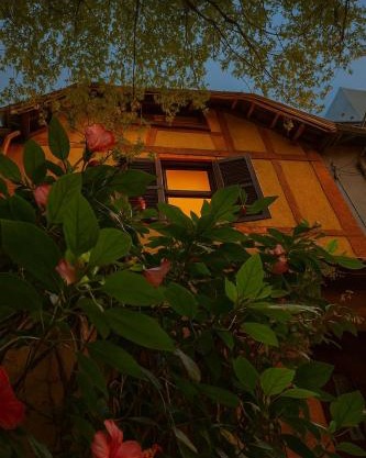 Rustic artistic haven, vintage soul in the heart of São Paulo