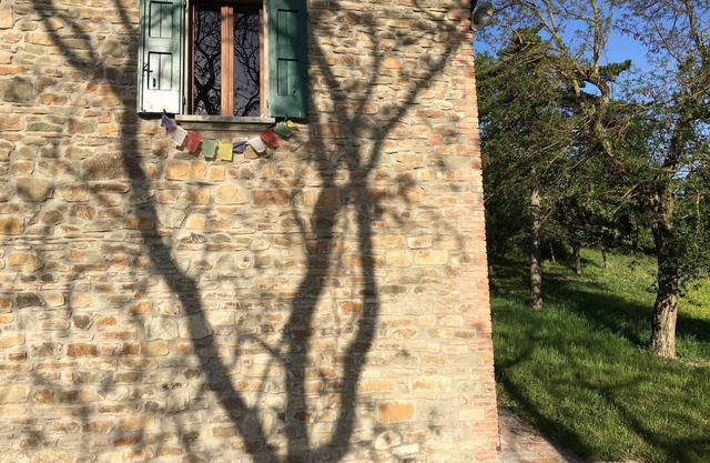 Rustikal zwischen Eichen und Tamarisken, im Valle Del Sillaro.