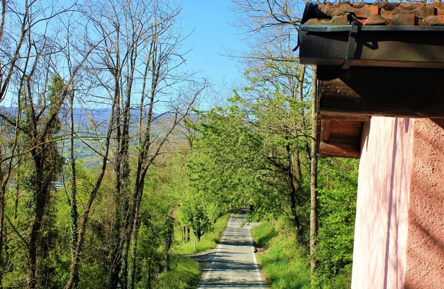 Rustic Borgo val di Taro Studio w/ Private Terrace