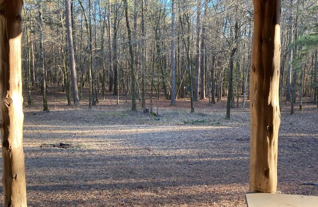 Rustic Cabin on 60 acres of wooded land.