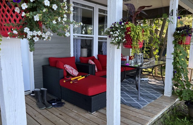 Rustic cabin on muskrat lake