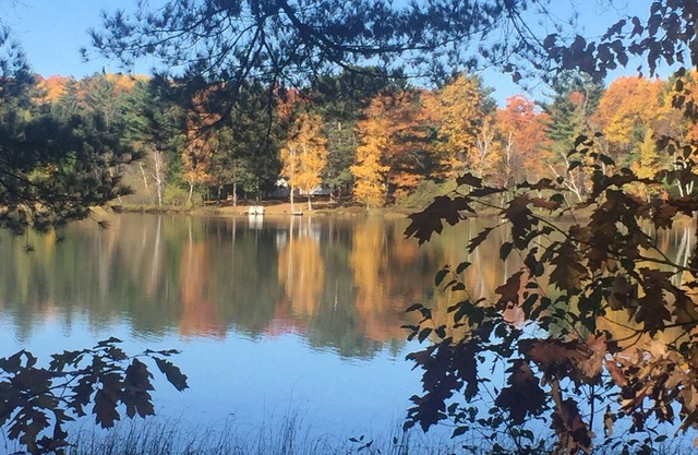 Rustic cabin, two acres of privacy, on quiet McCarry Lake