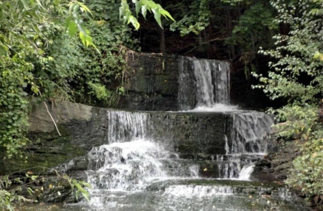 Backyard Waterfall and Cayuga Lake Views!