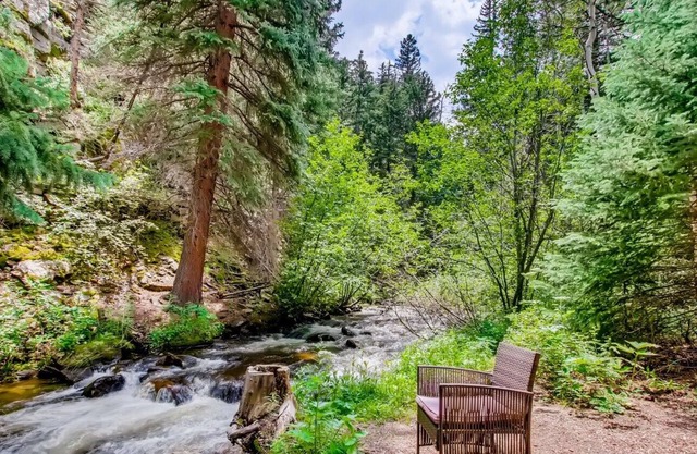 Rustic Funk Waterfront Pet Friendly Cabin