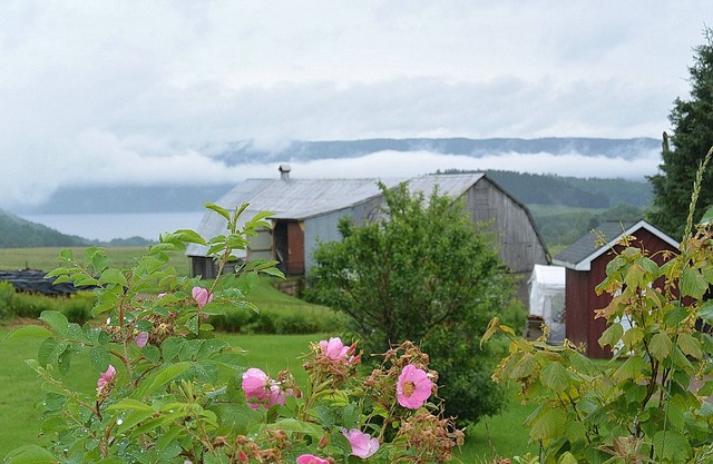 Landhaus Fjord