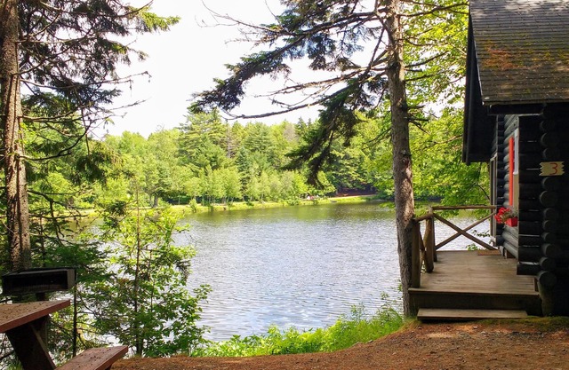 Haustierfreundlich Vollständig ausgerüstete Hütte mit Blick auf das Wasser in Downeast Maine, 4 Schlafplätze