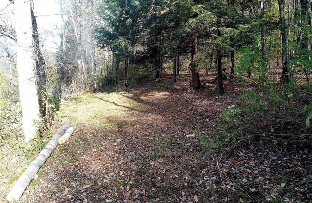 Rustic Secluded Peaceful campground in Cherry Valley