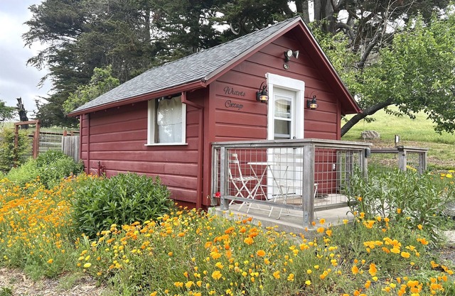 Gemütliches Studio Cottage auf der West Marin Organic Cattle Ranch