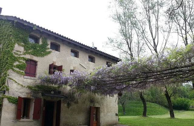 Rustico in eine Oase der Ruhe in den Hügeln von Prosecco zwei Schritte von Venedig