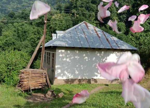 Ruzigar Guesthouse