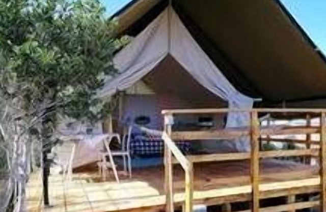 SAFARI-LODGE-ZELT .