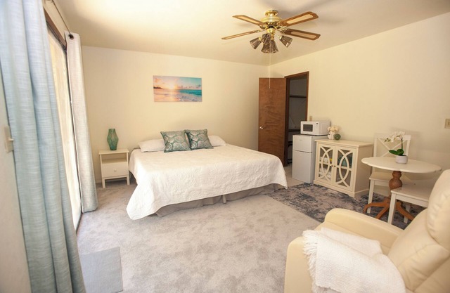 Safe and Quiet Guest Suite/Studio with Private Entrance