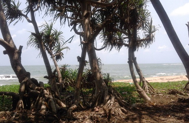 "SAI DHAM" Beach House Bungalow zu vermieten in Gujjadi