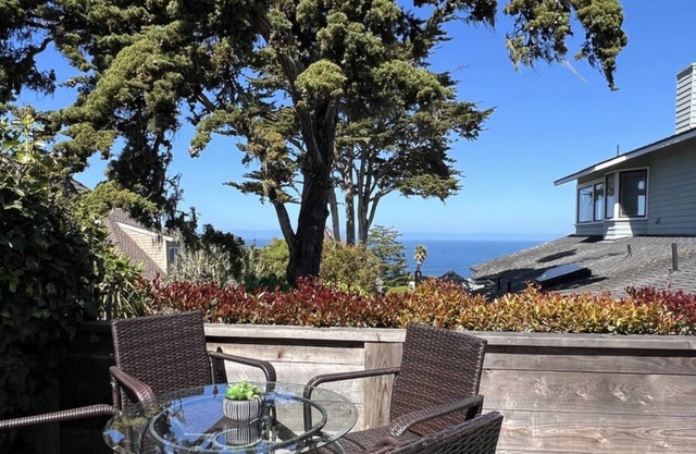 Sailaway - Pacific Grove House - Attention Sea Gazers!