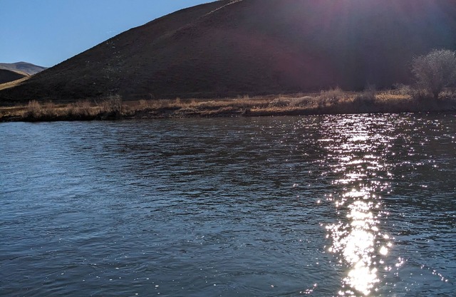 Salmon Riverfront Home Close to Salmon and Challis. Fishing from back yard.