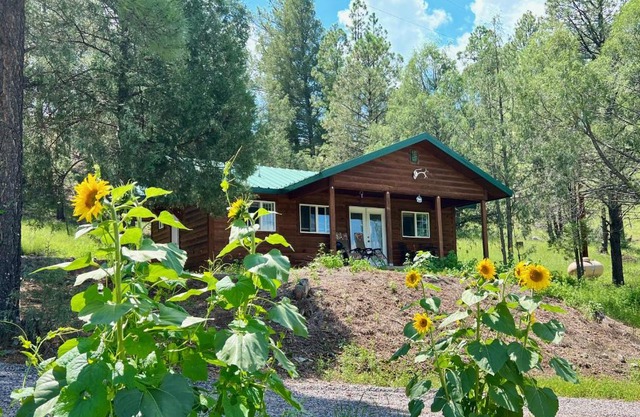 Salt Creek Cabin In The Gila