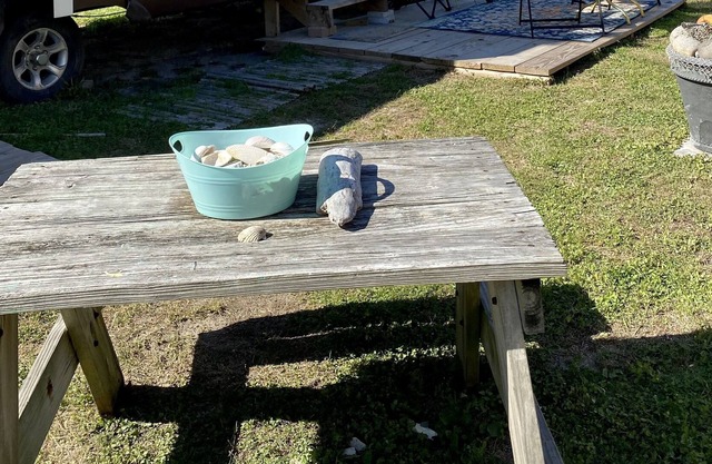 Saltwater Cowboy
