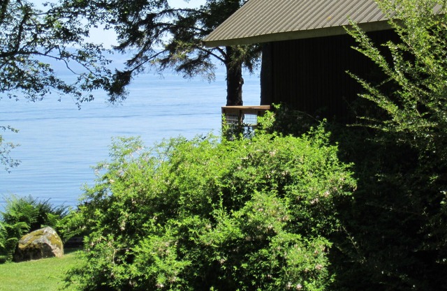 Salzwasserfront - Spektakuläre Aussicht - Abgeschieden, ruhig und friedlich