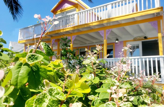 Salty Dog - Harbour views, "Old Town" Spanish Wells, Fully & Newly remodeled.