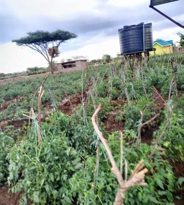 Sammyvero farm