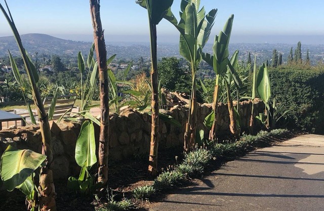 San Diego Mountain Getaway
