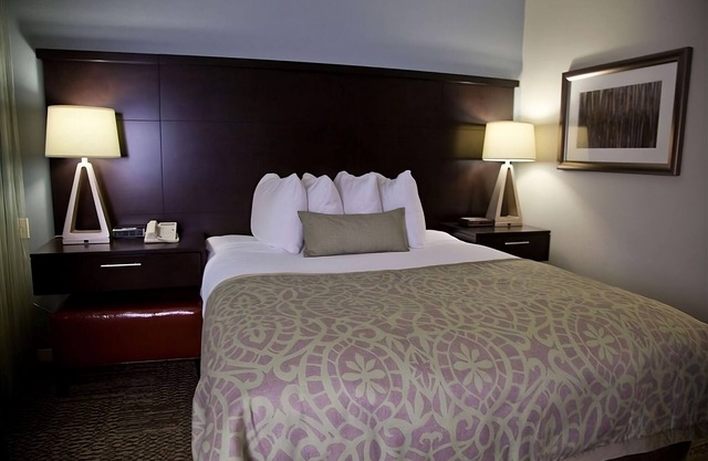 San Francisco Bay Area Vacay! 2 Pet-friendly Units, Free Breakfast, Full Kitchen
