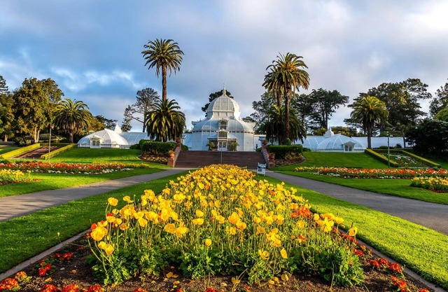 San Francisco Elegance! Pets Allowed, Near San Francisco Botanical Garden!