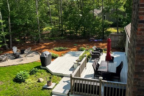 Sanctuary In The Woods