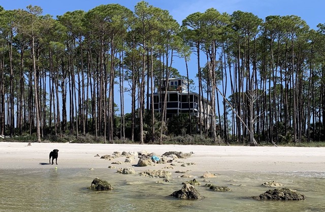 Sand Point South am Alligator Point