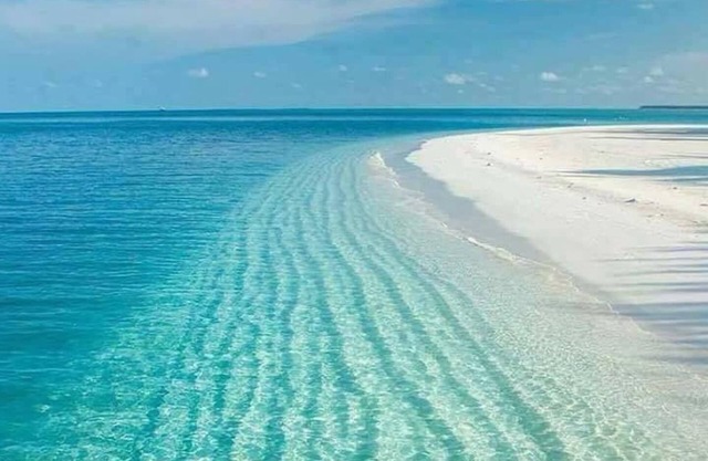 ~ NoHurricane ~ SandDollar Cottage ... Ideal gelegen im Zentrum von Eleuthera