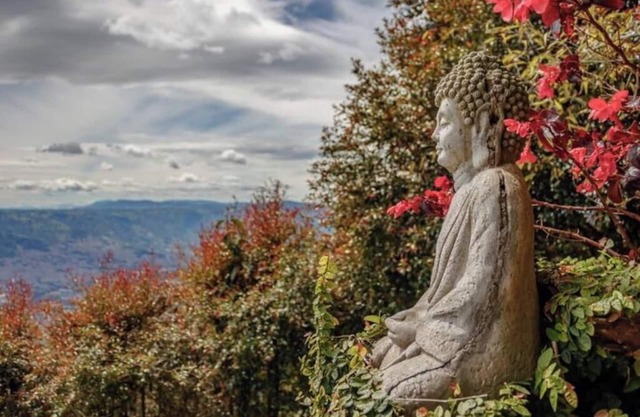 Santa Elena Cabin! The best view of Medellin!