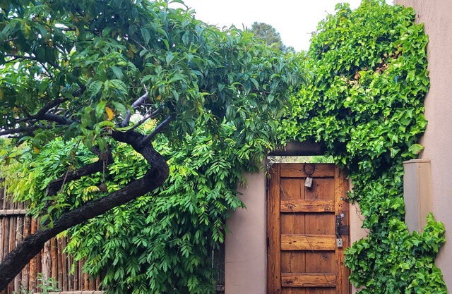 Santa Fe - Charming Home 2 Bed 2 Bath - On a Park -