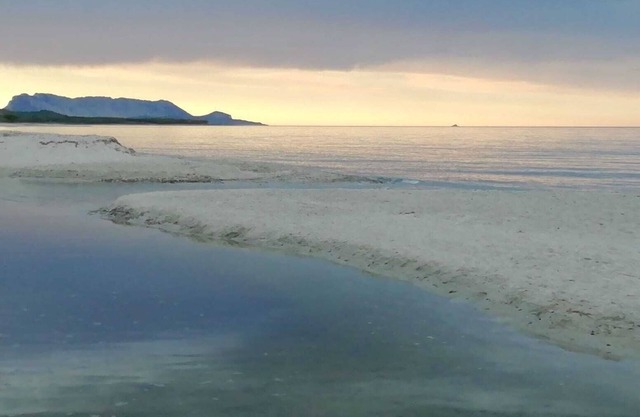 Sardinia! Budoni 1 km from the wonderful beach of Sant'Anna: 4 beds