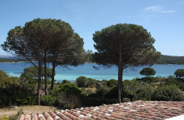 Sardinia - Maddalena- Gallura- Costa Smeralda 2 minutes from the beach, sea view