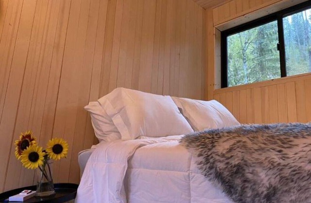 Scandinavian Micro-Cabin
