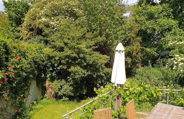 Schöner Urlauben in Rheinhessen