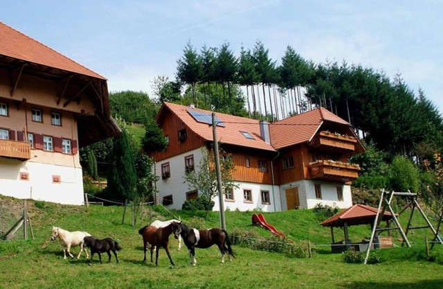 Schwörerhof - Ferienwohnung 70qm, 2 Schlafräume, 1 Wohn-/ Schlafraum